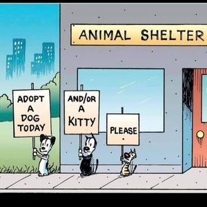 How can you say no to those faces